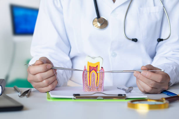 Best After-Hours Emergency Dentist in Groesbeck, TX